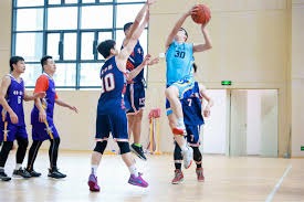 伦敦奥运马术冠军与爱马同日安乐死：二十载相伴书写辉煌传奇